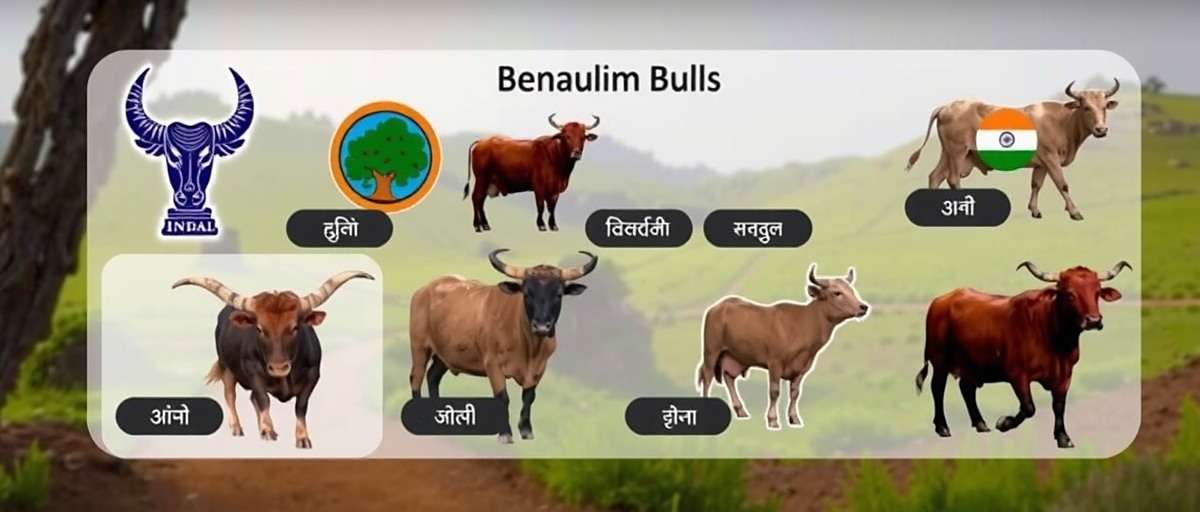 Benaulim Bulls Language Support Benaulim Bulls interface showing language selection screen with various Indian languages